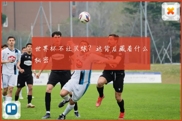 世界杯不让买球？这背后藏着什么秘密